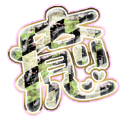 292