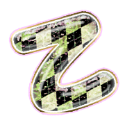 305