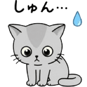 024
