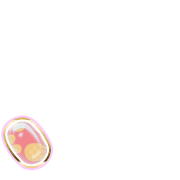 256