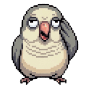 004