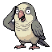 010