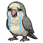 020