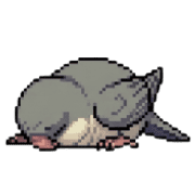 021