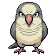 031