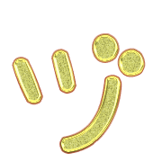 148