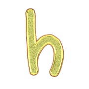 195