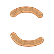 010