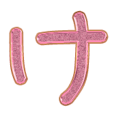 009