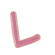 122