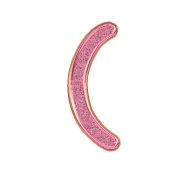 234