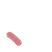 256