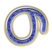 025