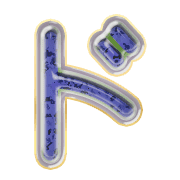 150