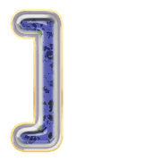 241