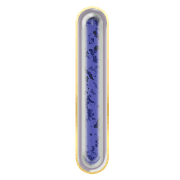 242