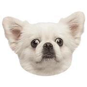 005