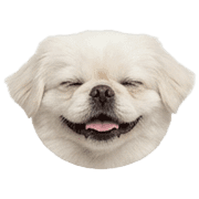 006