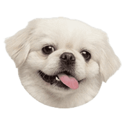 011