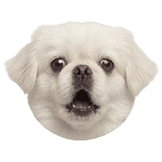 016