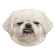 017