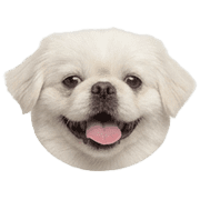 020