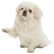 040