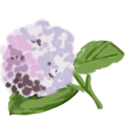 019