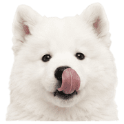 002