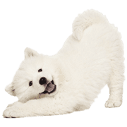 025