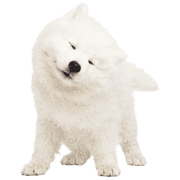 039