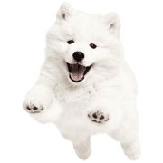 040