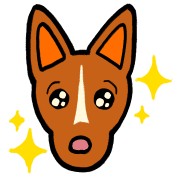 006