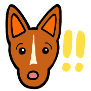 020