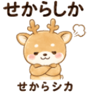 010