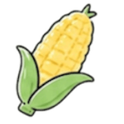 004