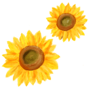 024