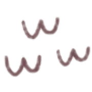031