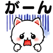 031