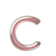 029