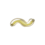 063