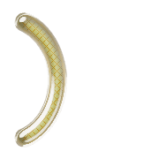 074