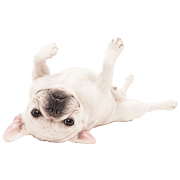 002