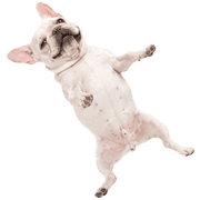 020