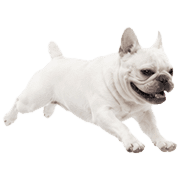 030