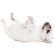 031