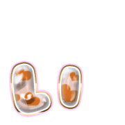 048