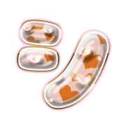 092