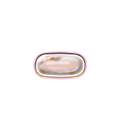 251