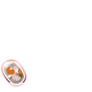 256